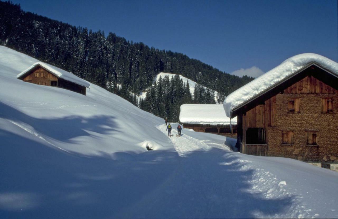 Апартаменты Haus Stabentheiner Au (Vorarlberg) Экстерьер фото